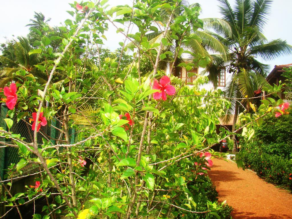 Bentota Homes المظهر الخارجي الصورة