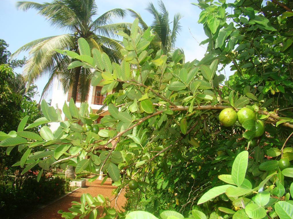 Bentota Homes المظهر الخارجي الصورة